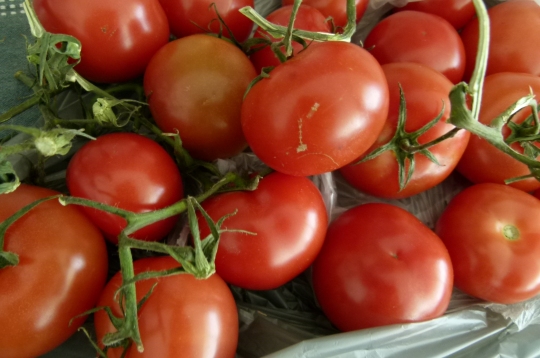 MissFoodFairy's tomatoes IMKAUG2014